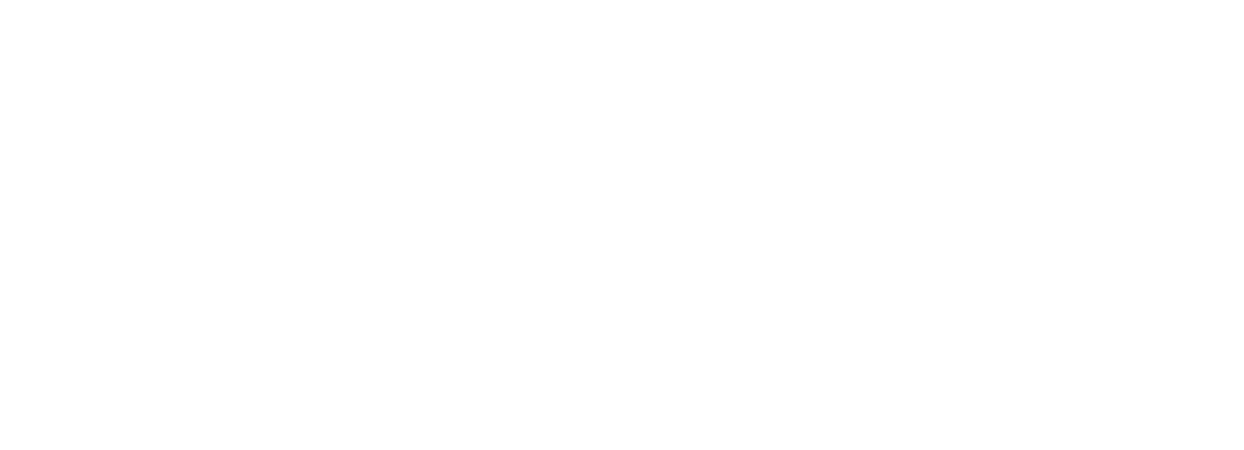 logo vite sicure bianco